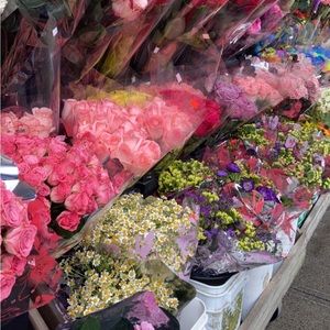 Meet your Posher, Jillz